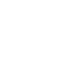 in_icon